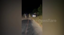 Elephant shot dead to save people after it crashes on top of car after accident