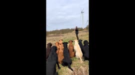 Overeager Lab Forgets to Wait for Command