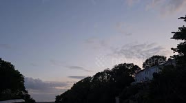 The Hot Weather has Brought out The wild Bats in Devon