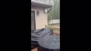temp