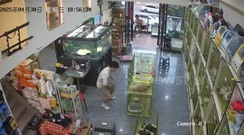 Man struggles to keep kittens in cage at pet shop in Chongqing, China