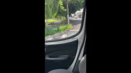 Dog jumps through car window to greet owner in Americana, São Paulo, Brazil