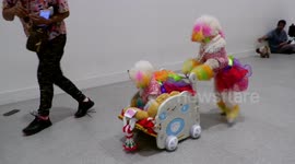 PlaybackTechnical Error