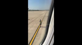 The video was filmed on a flight from London Stansted to Hamburg, by musician Elly Xia who was on the way to film a music video. Before takeoff, airport staff is communicating with pilots via a wired headphone, which looks like he is holding the plane on