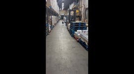 Wild Turkey Entered Grocery Warehouse