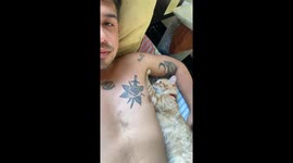 Cat Gives Surprise Bite