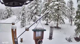 US: Colorado Mountains See More Spring Snow, Winter Storm Warnings Issued