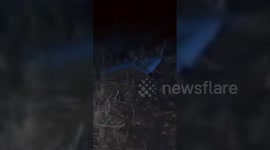 Pakistan: Pakistani Forces Shoot Down Indian Drone in Border Region