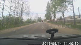 Careless Driver