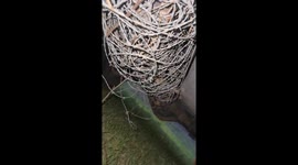 Barbed wire found tangled around car driveshaft in Huntsville, Texas, USA