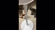 temp
