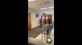 High-Speed Quackdown: Kentwood Police Escort Duck Family Safely