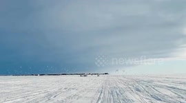 US: Seagulls Swarm Over Ice Fishermen At Frozen Kotzebue Sound In Alaska