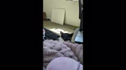 temp