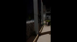 Cat Can't Find Ground After Climbing Up Screen