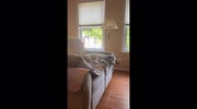temp