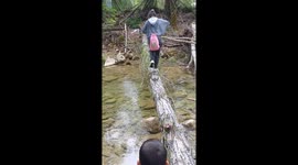 Dad to the Slightly Damp Rescue