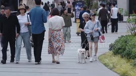 China: Shanghai's pet economy thrives with more pet-centric spaces, services