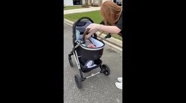 Sisters Take Their 'Babies' for a Stroll