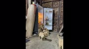 temp