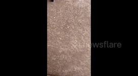 US: Heavy hailstorm in Henderson, NV