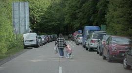 Slovakia: Hungarian-Slovak border closure extended due to mouth and foot disease