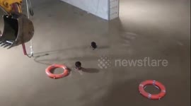 Flooding in Gujarat: One Dead, Several Rescued as Vehicles Submerged in Underpass Water