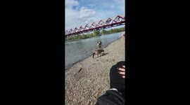 Hilarious moment girlfriend has head-shaking conversation with geese