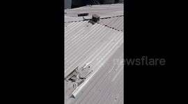 Philippines: Ash From Mt. Kanlaon Eruption Blankets Nearby Towns