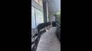 temp