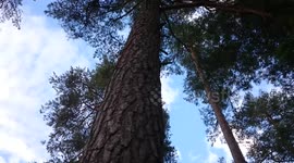 What the heck is this?