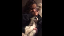 DAB DOG the Cavalier King Charles