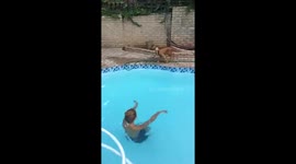 Our mermaid dog again