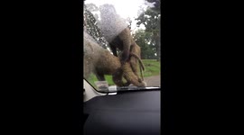 just came for a nice family day at the safari park and https://t.co/xktVOqe6sK