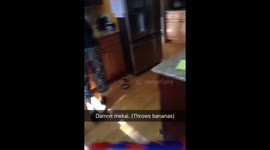 Mom throws bananas at son