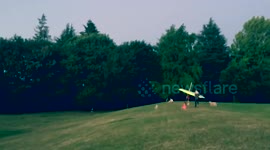 The Majesty of Flight