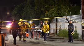 US, Los Angeles: Reseda Officers Shoot Man Armed With Knife