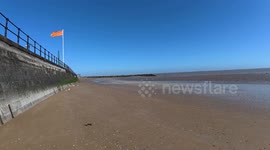 Dogs chase deer along Cleethorpes beach despite ban on canines - owner unfazed