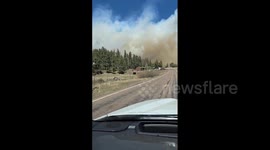 US: Greer Fire in Eastern Arizona Prompts Evacuations, Road Closures