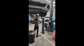 Mechanics find huge monitor lizard inside car engine