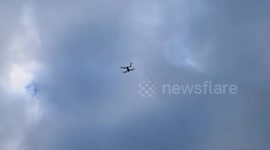 Pet detectives save lost collie using chicken and heat-seeking drones