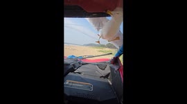 Buggy driver rescues seagull that flew into their vehicle at high-speed