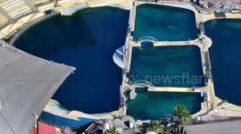 Footage shows France's last two remaining orcas stuck in park months after closure