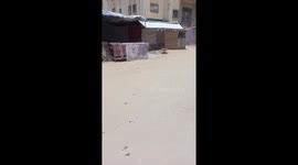 Market Shelves Almost Empty – Basic Foods Out of Reach in Gaza 3