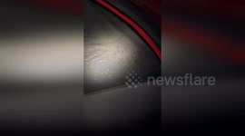 US: Backpacker’s Tent Overrun by Hundreds of Big Spiders in Shocking Nighttime Ordeal