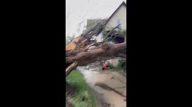 US: Tornado Causes Significant Damage in Wisconsin’s Dodge County, State of Emergency Issued