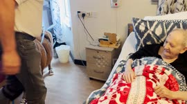 Miniature therapy ponies bring joy to elderly at care homes