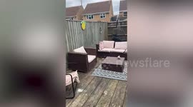 Disposable barbeque causes £1.5k worth of damage to neighbour's garden