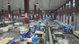 China: Chinese exporters see rebound in US orders amid tariff truce