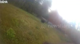 US: Bear Steals Trail Camera In New Hampshire Caught On Video